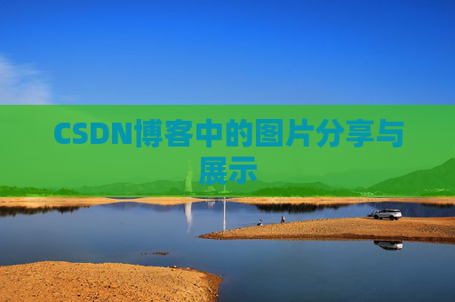 CSDN博客中的图片分享与展示